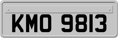 KMO9813