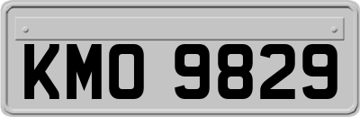 KMO9829