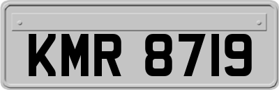 KMR8719