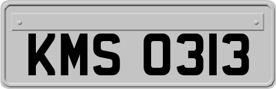 KMS0313