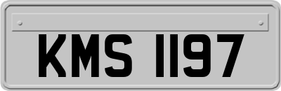 KMS1197