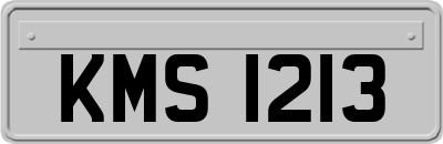 KMS1213