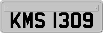 KMS1309