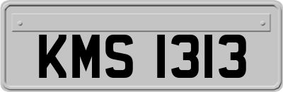 KMS1313