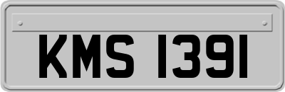 KMS1391