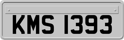 KMS1393