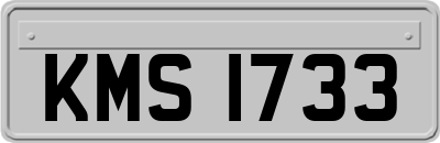 KMS1733