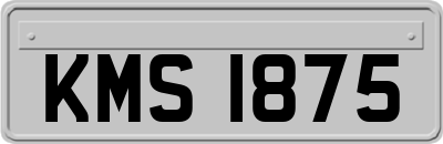 KMS1875