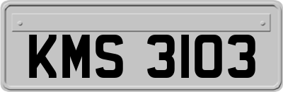 KMS3103