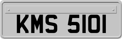 KMS5101