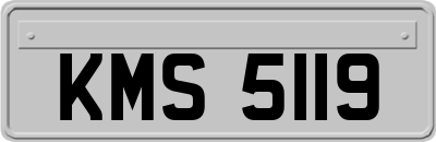 KMS5119