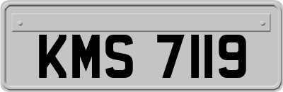 KMS7119