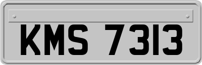 KMS7313