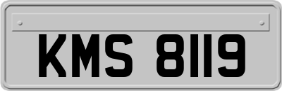 KMS8119