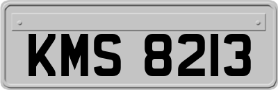 KMS8213