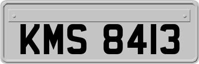 KMS8413