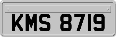 KMS8719