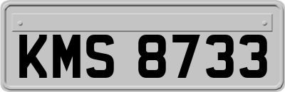 KMS8733