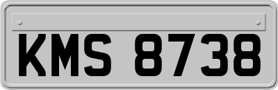 KMS8738