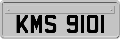 KMS9101