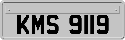 KMS9119