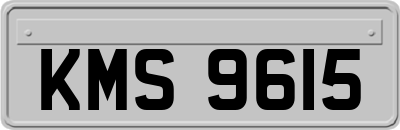 KMS9615