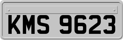 KMS9623