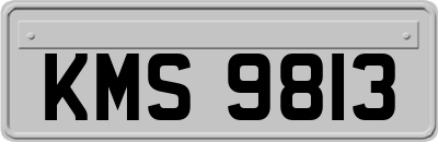 KMS9813