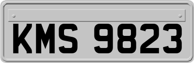 KMS9823