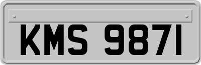 KMS9871