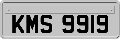 KMS9919