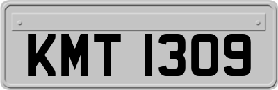 KMT1309