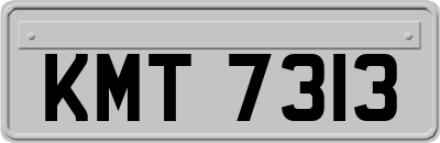 KMT7313