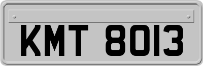 KMT8013