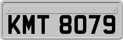 KMT8079