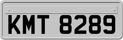 KMT8289