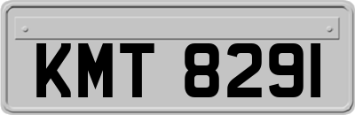 KMT8291