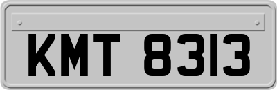 KMT8313