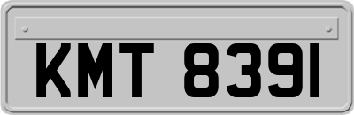 KMT8391