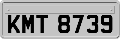 KMT8739