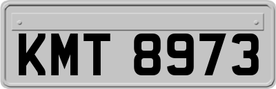 KMT8973