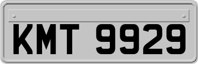 KMT9929