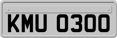 KMU0300