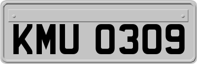 KMU0309