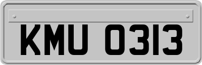 KMU0313