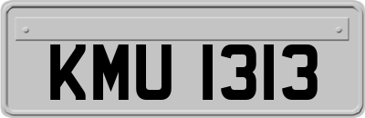 KMU1313
