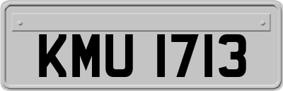 KMU1713