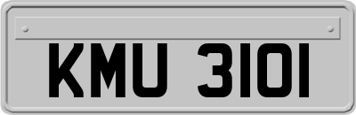 KMU3101