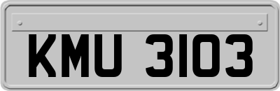 KMU3103