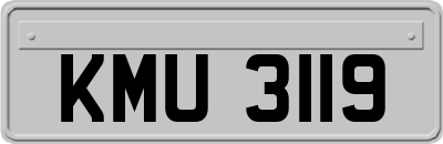 KMU3119